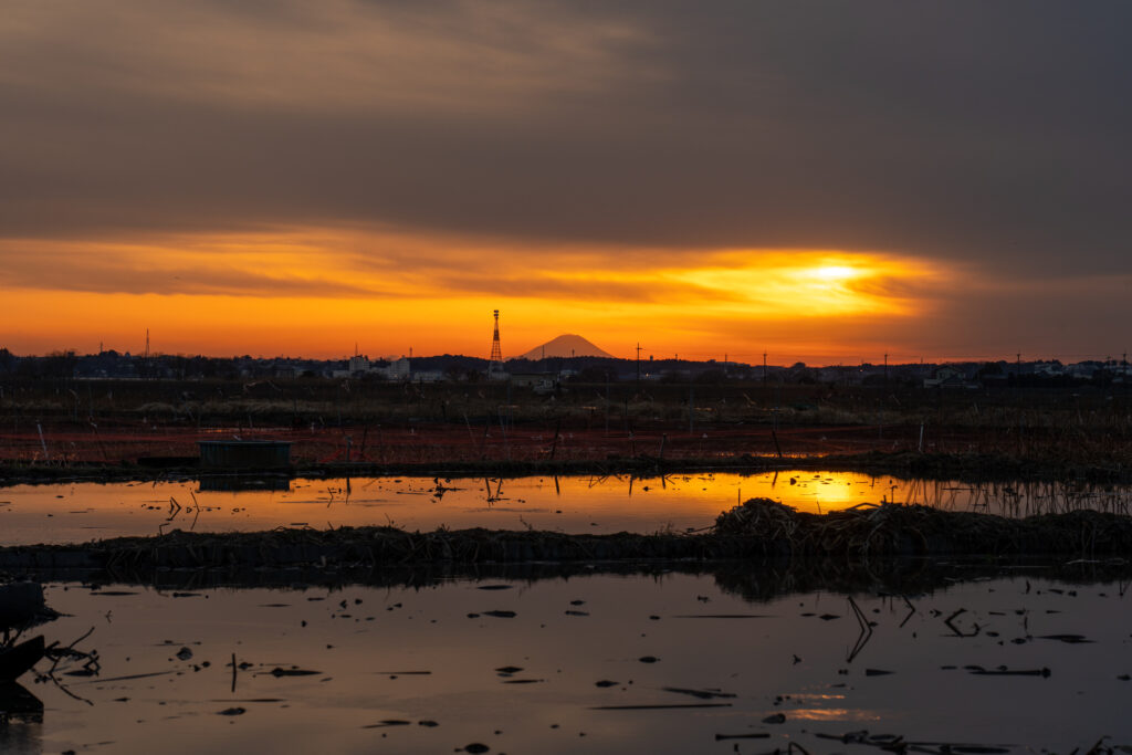 絶景霞ヶ浦シリーズ