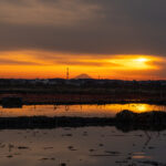 絶景霞ヶ浦シリーズ